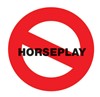 no horseplay
